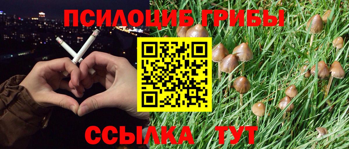 Псилоцибиновые грибы мухоморы Краснодар